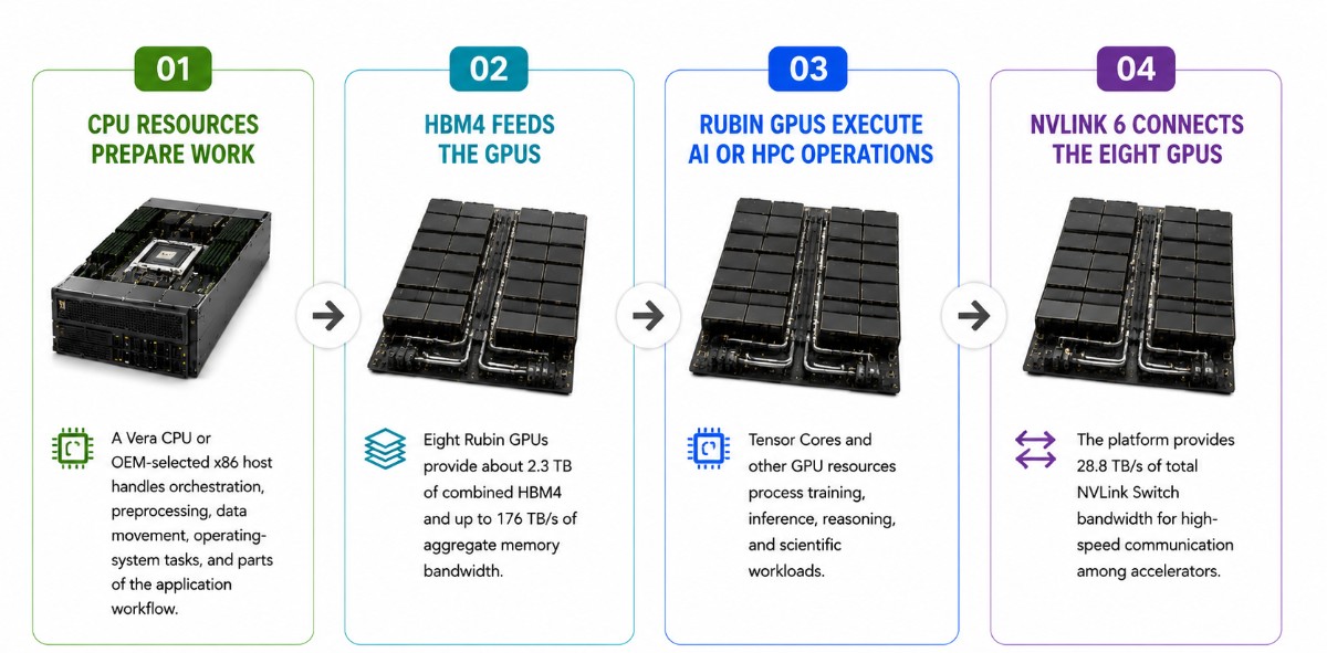Infographic showing how HGX Rubin NVL8 works: CPU prepares workloads, HBM4 feeds eight Rubin GPUs, GPUs process AI/HPC tasks, and NVLink 6 connects GPUs for high-speed communication.